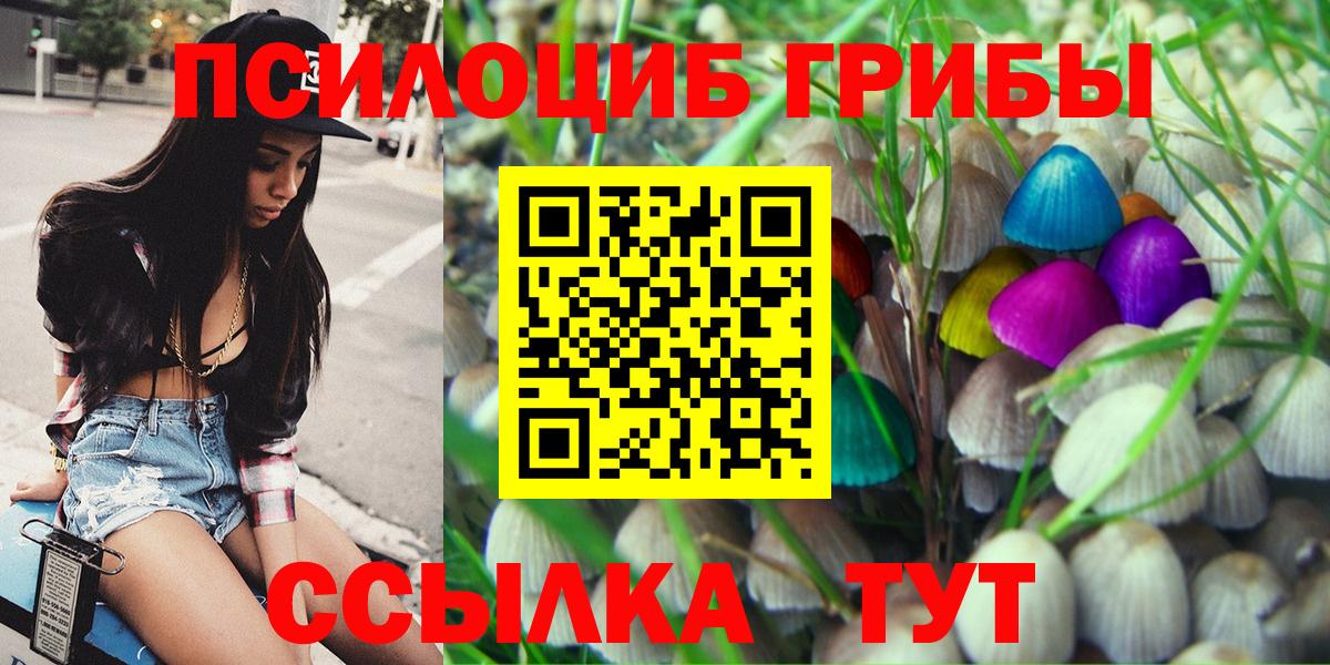 Архангельск  Галлюциногенные грибы Cubensis  цены   Вход с VPN 